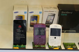 纸质书香与数字光影 欧洲人为何更钟情于阅读？